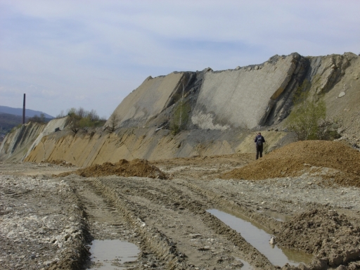 Min-Geo Eindrucksvoll dokumentieren kann man bei Göttingerode die übergekippten Juraschichten studieren. Das vordem Unterste tritt an der Wand jetzt sichtbar zutage.