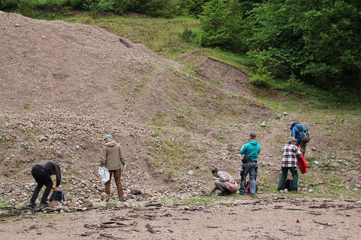 Bei Wittichen suchten die Sammelfreunde nach der herrlich karminroten Kobaltblüte